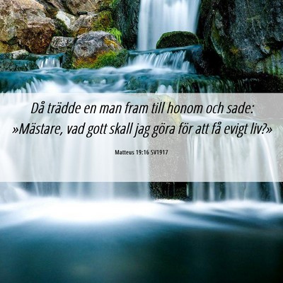 Picture 06 - Matteus 19:16 SV1917 - Då trädde en man fram till honom och sade: - Bible Verse Picture