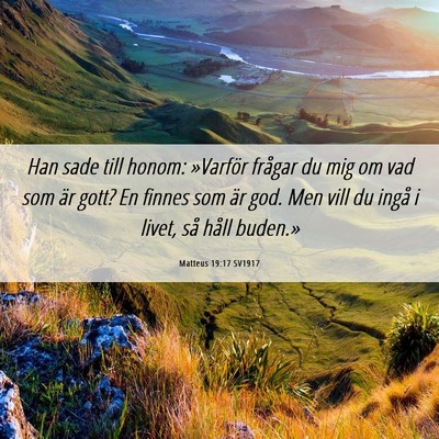Picture 06 - Matteus 19:17 SV1917 - Han sade till honom: »Varför frågar du mig om - Bible Verse Picture