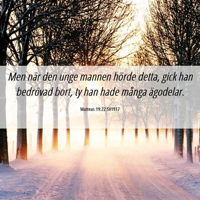 Picture 06 - Matteus 19:22 SV1917 - Men när den unge mannen hörde detta, gick han - Bible Verse Picture