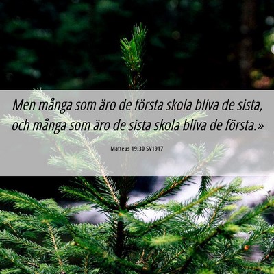 Picture 06 - Matteus 19:30 SV1917 - Men många som äro de första skola bliva de - Bible Verse Picture