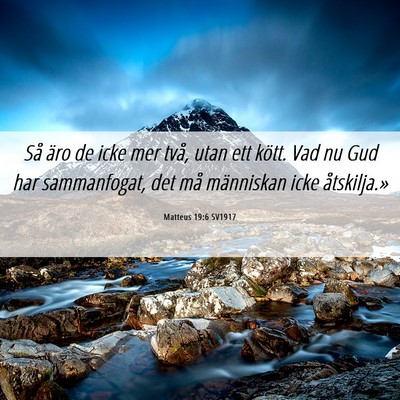 Picture 06 - Matteus 19:6 SV1917 - Så äro de icke mer två, utan ett kött. Vad nu - Bible Verse Picture