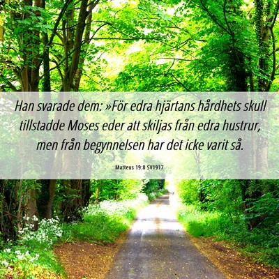 Picture 06 - Matteus 19:8 SV1917 - Han svarade dem: »För edra hjärtans hårdhets - Bible Verse Picture