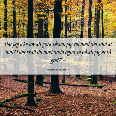 Picture 06 - Matteus 20:15 SV1917 - Har jag icke lov att göra såsom jag vill med - Bible Verse Picture