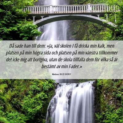 Picture 06 - Matteus 20:23 SV1917 - Då sade han till dem: »Ja, väl skolen I få - Bible Verse Picture