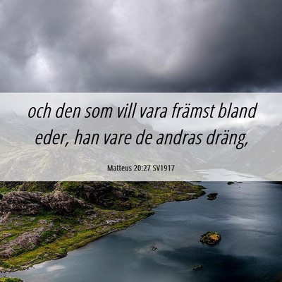 Picture 06 - Matteus 20:27 SV1917 - och den som vill vara främst bland eder, han - Bible Verse Picture