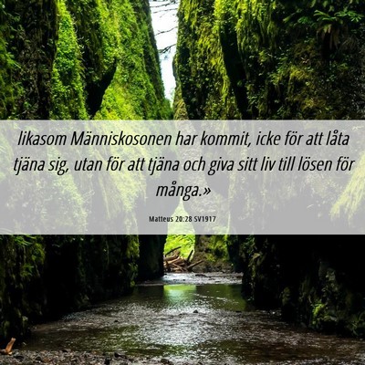 Picture 06 - Matteus 20:28 SV1917 - likasom Människosonen har kommit, icke för att - Bible Verse Picture