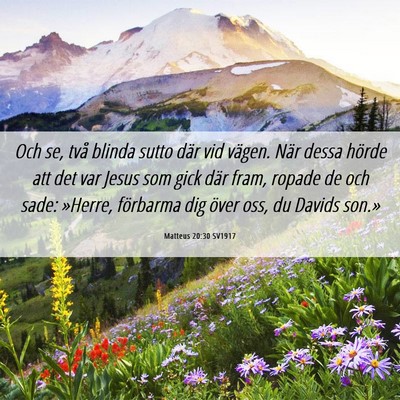 Picture 06 - Matteus 20:30 SV1917 - Och se, två blinda sutto där vid vägen. När - Bible Verse Picture