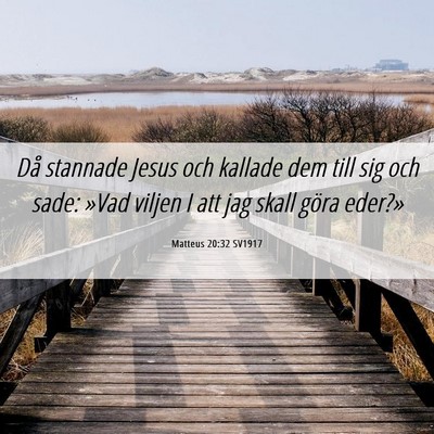 Picture 06 - Matteus 20:32 SV1917 - Då stannade Jesus och kallade dem till sig och - Bible Verse Picture