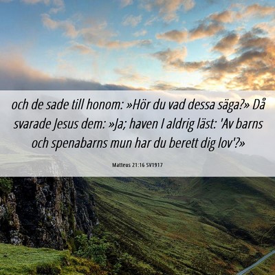 Picture 06 - Matteus 21:16 SV1917 - och de sade till honom: »Hör du vad dessa - Bible Verse Picture