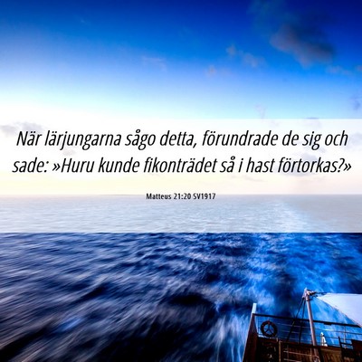 Picture 06 - Matteus 21:20 SV1917 - När lärjungarna sågo detta, förundrade de sig - Bible Verse Picture