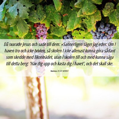 Picture 06 - Matteus 21:21 SV1917 - Då svarade Jesus och sade till dem: - Bible Verse Picture