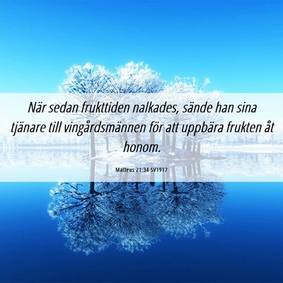 Picture 06 - Matteus 21:34 SV1917 - När sedan frukttiden nalkades, sände han sina - Bible Verse Picture