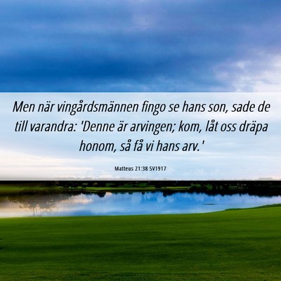 Picture 06 - Matteus 21:38 SV1917 - Men när vingårdsmännen fingo se hans son, sade - Bible Verse Picture