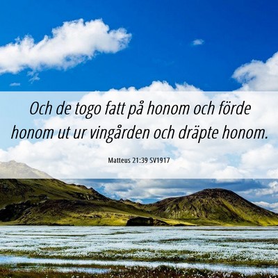 Picture 06 - Matteus 21:39 SV1917 - Och de togo fatt på honom och förde honom ut ur - Bible Verse Picture