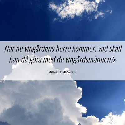 Picture 06 - Matteus 21:40 SV1917 - När nu vingårdens herre kommer, vad skall han - Bible Verse Picture
