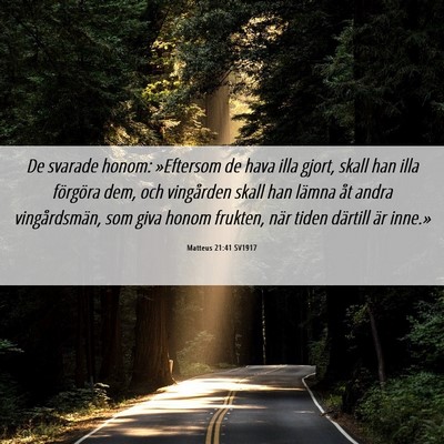 Picture 06 - Matteus 21:41 SV1917 - De svarade honom: »Eftersom de hava illa gjort, - Bible Verse Picture