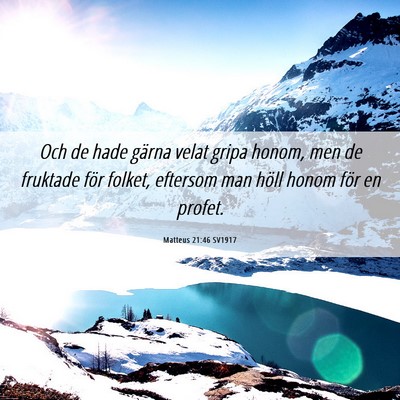 Picture 06 - Matteus 21:46 SV1917 - Och de hade gärna velat gripa honom, men de - Bible Verse Picture
