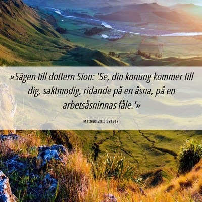 Picture 06 - Matteus 21:5 SV1917 - »Sägen till dottern Sion: 'Se, din konung - Bible Verse Picture