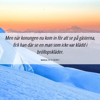 Picture 06 - Matteus 22:11 SV1917 - Men när konungen nu kom in för att se på - Bible Verse Picture