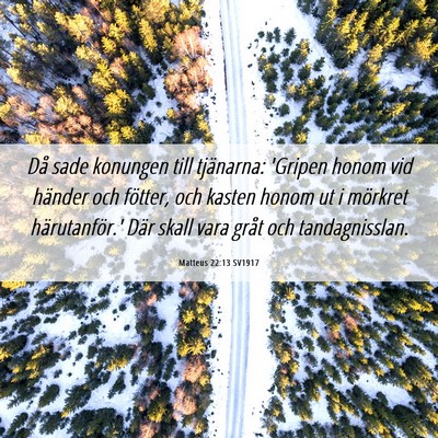 Picture 06 - Matteus 22:13 SV1917 - Då sade konungen till tjänarna: 'Gripen honom - Bible Verse Picture