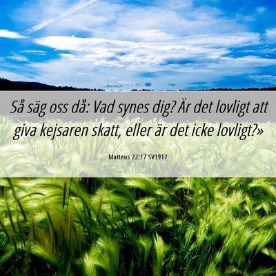 Picture 06 - Matteus 22:17 SV1917 - Så säg oss då: Vad synes dig? Är det lovligt - Bible Verse Picture