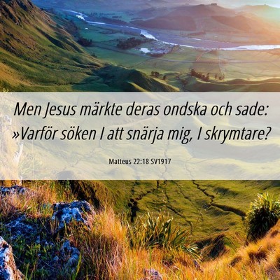 Picture 06 - Matteus 22:18 SV1917 - Men Jesus märkte deras ondska och sade: - Bible Verse Picture