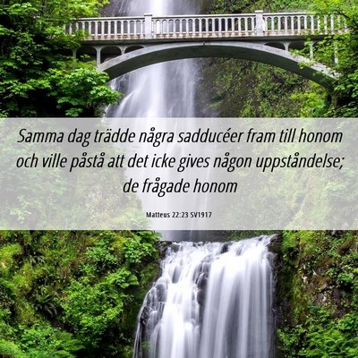 Picture 06 - Matteus 22:23 SV1917 - Samma dag trädde några sadducéer fram till - Bible Verse Picture