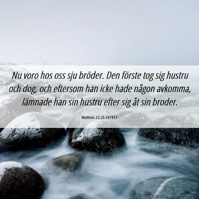 Picture 06 - Matteus 22:25 SV1917 - Nu voro hos oss sju bröder. Den förste tog sig - Bible Verse Picture