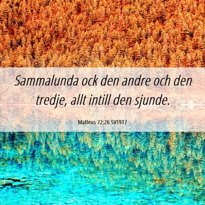Picture 06 - Matteus 22:26 SV1917 - Sammalunda ock den andre och den tredje, allt - Bible Verse Picture