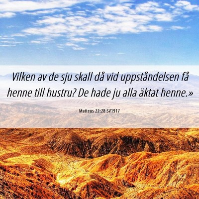 Picture 06 - Matteus 22:28 SV1917 - Vilken av de sju skall då vid uppståndelsen få - Bible Verse Picture