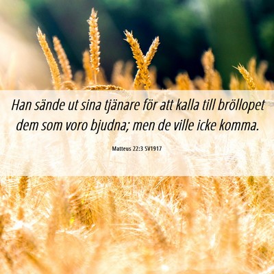 Picture 06 - Matteus 22:3 SV1917 - Han sände ut sina tjänare för att kalla till - Bible Verse Picture