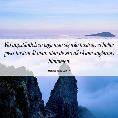 Picture 06 - Matteus 22:30 SV1917 - Vid uppståndelsen taga män sig icke hustrur, ej - Bible Verse Picture