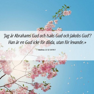 Picture 06 - Matteus 22:32 SV1917 - 'Jag är Abrahams Gud och Isaks Gud och Jakobs - Bible Verse Picture