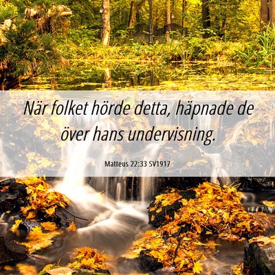 Picture 06 - Matteus 22:33 SV1917 - När folket hörde detta, häpnade de över hans - Bible Verse Picture