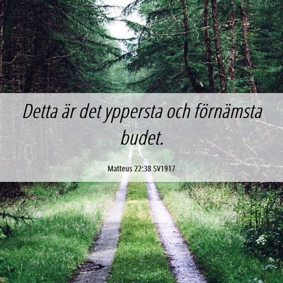 Picture 06 - Matteus 22:38 SV1917 - Detta är det yppersta och förnämsta - Bible Verse Picture