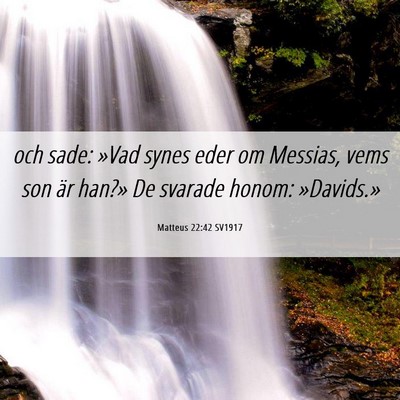 Picture 06 - Matteus 22:42 SV1917 - och sade: »Vad synes eder om Messias, vems son - Bible Verse Picture