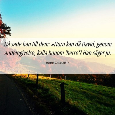 Picture 06 - Matteus 22:43 SV1917 - Då sade han till dem: »Huru kan då David, - Bible Verse Picture