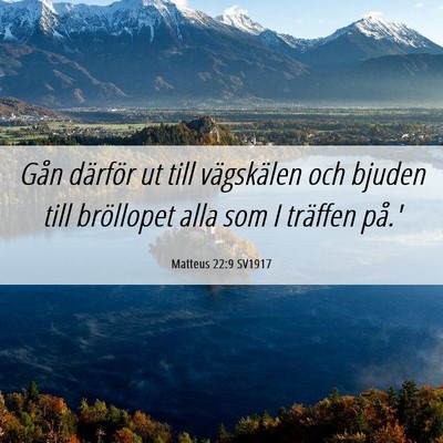 Picture 06 - Matteus 22:9 SV1917 - Gån därför ut till vägskälen och bjuden till - Bible Verse Picture