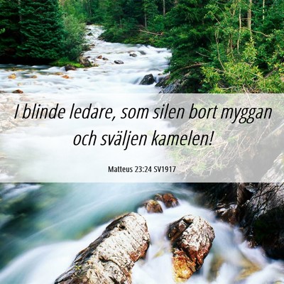 Picture 06 - Matteus 23:24 SV1917 - I blinde ledare, som silen bort myggan och - Bible Verse Picture