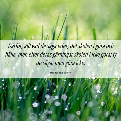 Picture 06 - Matteus 23:3 SV1917 - Därför, allt vad de säga eder, det skolen I - Bible Verse Picture