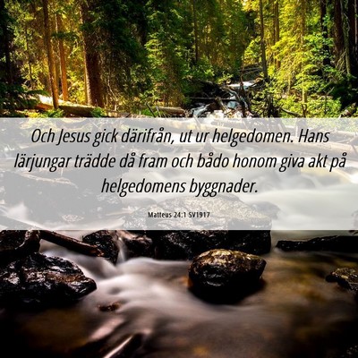 Picture 06 - Matteus 24:1 SV1917 - Och Jesus gick därifrån, ut ur helgedomen. Hans - Bible Verse Picture
