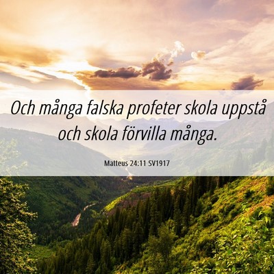 Picture 06 - Matteus 24:11 SV1917 - Och många falska profeter skola uppstå och - Bible Verse Picture
