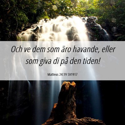 Picture 06 - Matteus 24:19 SV1917 - Och ve dem som äro havande, eller som giva di - Bible Verse Picture