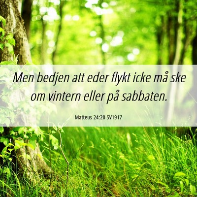 Picture 06 - Matteus 24:20 SV1917 - Men bedjen att eder flykt icke må ske om vintern - Bible Verse Picture