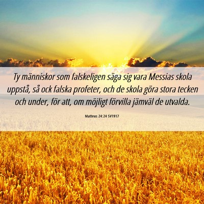 Picture 06 - Matteus 24:24 SV1917 - Ty människor som falskeligen säga sig vara - Bible Verse Picture