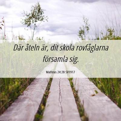 Picture 06 - Matteus 24:28 SV1917 - Där åteln är, dit skola rovfåglarna församla - Bible Verse Picture