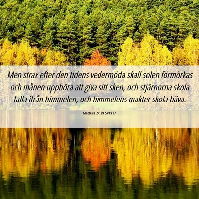 Picture 06 - Matteus 24:29 SV1917 - Men strax efter den tidens vedermöda skall solen - Bible Verse Picture