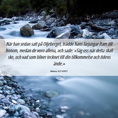 Picture 06 - Matteus 24:3 SV1917 - När han sedan satt på Oljeberget, trädde hans - Bible Verse Picture