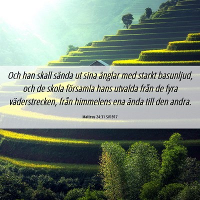 Picture 06 - Matteus 24:31 SV1917 - Och han skall sända ut sina änglar med starkt - Bible Verse Picture