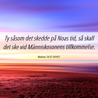 Picture 06 - Matteus 24:37 SV1917 - Ty såsom det skedde på Noas tid, så skall det - Bible Verse Picture